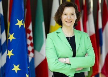 AI made in Europe – possible but needs work – Euractiv