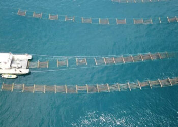Asia dominates global aquaculture production