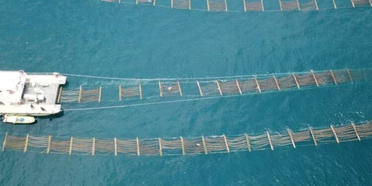 Asia dominates global aquaculture production