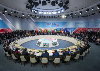 Belarus gets BRICS partner country status