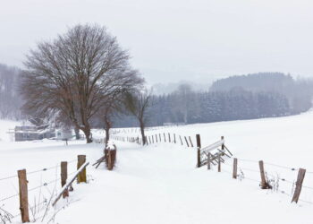 Belgium’s first snowfall next week « Euro Weekly News