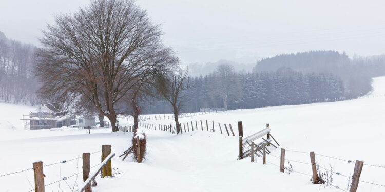 Belgium’s first snowfall next week « Euro Weekly News