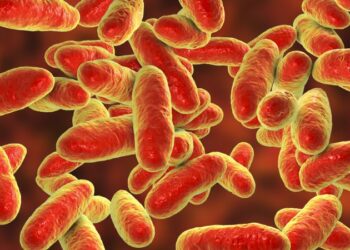 Belgium’s new AMR National Action Plan expected early next year, surveillance data upgrade included – Euractiv