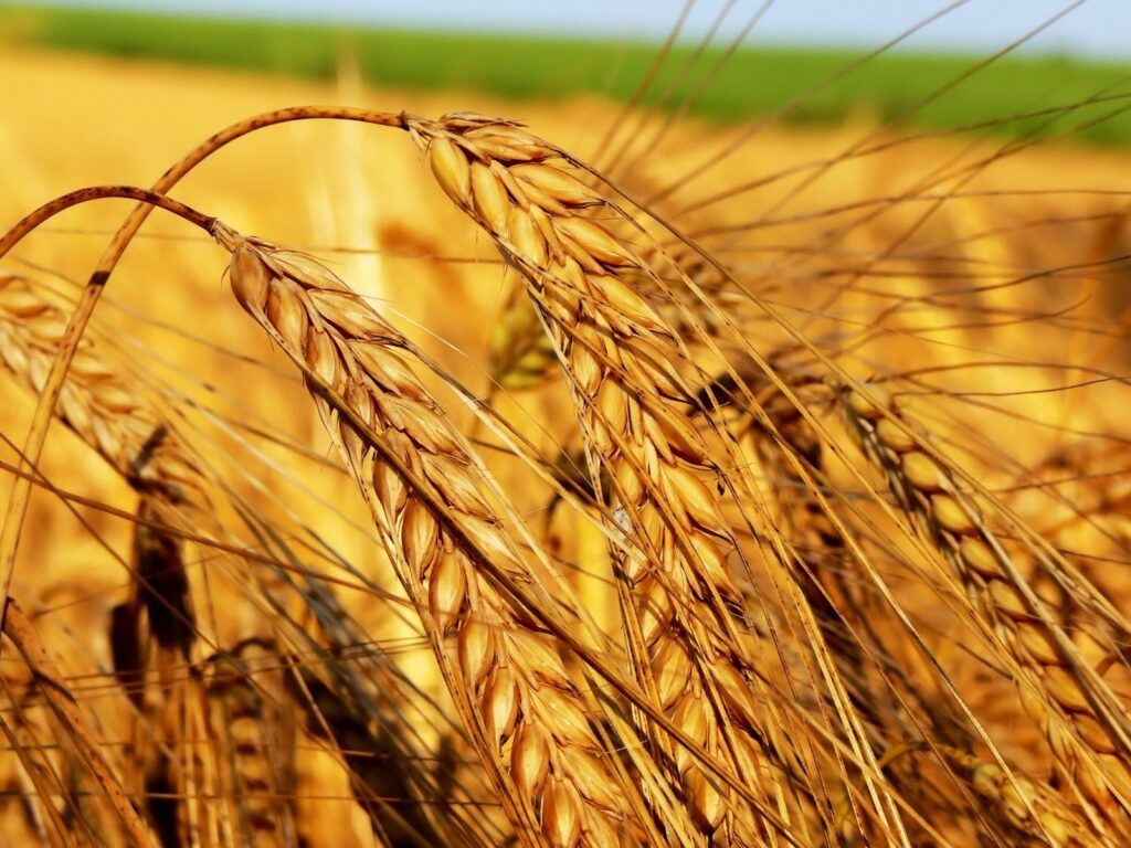 Between 60% and 70% of agricultural land in the EU polluted – How about Serbia?