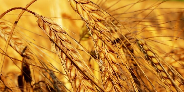 Between 60% and 70% of agricultural land in the EU polluted – How about Serbia?