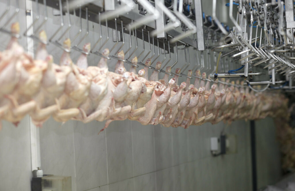 Bosnia and Herzegovina opens market to Brazil chicken meat exports