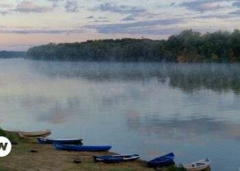 Bulgaria’s slow path to commemorating victims of communism – DW – 11/10/2024
