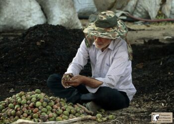 China, Iran and Republic of Korea get new designations, while two in Europe – Andorra and Austria – earn their first