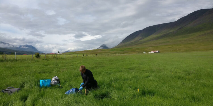 Climate impacts on European soils predicted by scientists