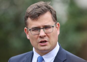 DHL plane crash was not sabotage, Lithuanian defense minister advises – POLITICO