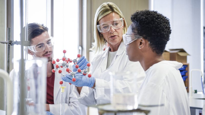 Denmark and Sweden launch ambitious new life science strategies – Euractiv