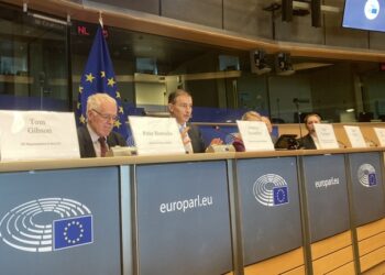 EU Media Freedom Legislation May Fail to Achieve Goals in Balkans due to Lack of Will to Implement It, Report Says