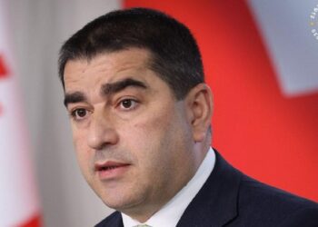 EU should prepare for Georgia’s membership in “two-way street” integration