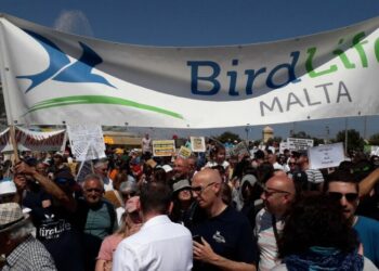 Environment NGOs Back BirdLife Malta’s Call To EU To Enforce Rule Of Law In Malta Environment NGOs Back BirdLife Malta’s Call To EU To Enforce Rule Of Law In Malta