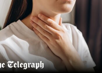 Europe tightens H5N1 surveillance as winter flu season looms Europe tightens H5N1 surveillance as winter flu season looms