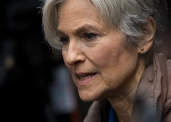 European Greens Deliver Grave Warning to Jill Stein This Election