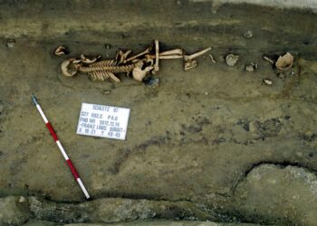 Europe’s first farmer lived in an egalitarian society Europe’s first farmer lived in an egalitarian society