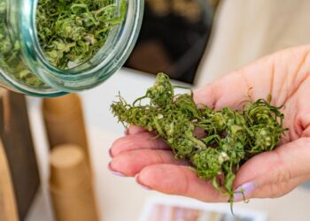 Flora Growth Taps Europe’s CBD Boom With 0K Czech-Slovak Partnership Renewal – Curaleaf Holdings (OTC:CURLF), Canopy Gwth (NASDAQ:CGC)