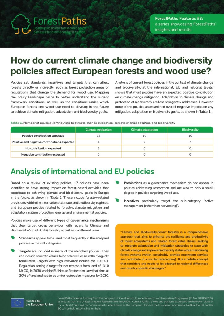 ForestPaths observes the effects of current legislation on Europe’s forests