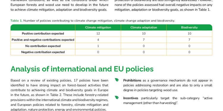 ForestPaths observes the effects of current legislation on Europe’s forests