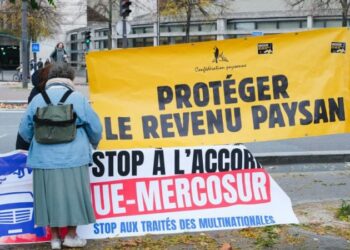 France won’t sign EU-Mercosur agreement, confirms Emmanuel Macron – Euractiv