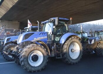French farmers block Bordeaux Port to protest proposed EU-Mercosur trade deal