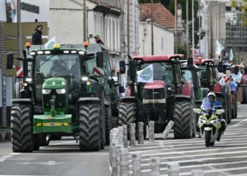 French farmers protest EU-Mercosur deal