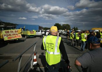 French farmers threaten ‘chaos’ over proposed EU-Mercosur deal French farmers threaten ‘chaos’ over proposed EU-Mercosur deal