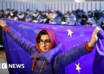 Georgia protests: Thousands hit streets after government suspends EU bid