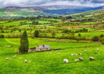 How To Move To Ireland: A Guide For Americans