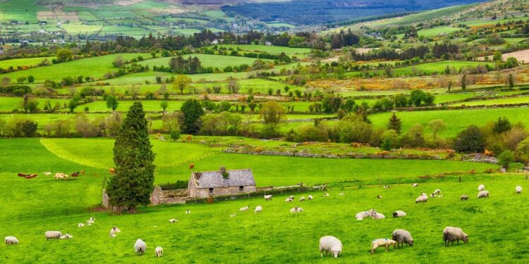 How To Move To Ireland: A Guide For Americans