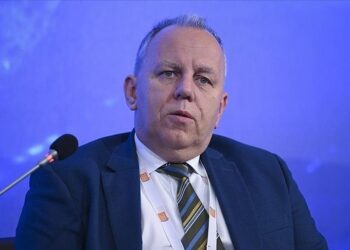 Hungarian state energy firm CEO Hungarian state energy firm CEO