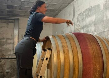 I Left My 6-Figure Desk Job in the US to Go Harvest Grapes in Austria I Left My 6-Figure Desk Job in the US to Go Harvest Grapes in Austria