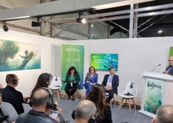 Joint Work on Green Project in Central and Eastern Europe Dominated Discussion in Bulgarian Pavilion at COP29