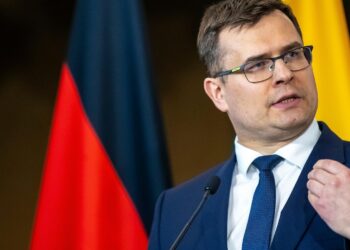 Lithuanian official proposes ways to smooth relations between Europe and Trump Lithuanian official proposes ways to smooth relations between Europe and Trump