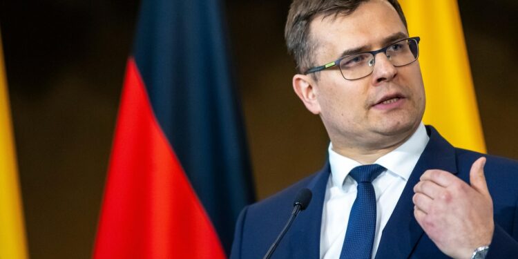 Lithuanian official proposes ways to smooth relations between Europe and Trump