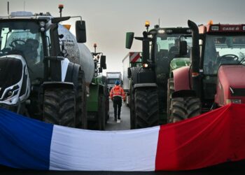 Mercosur deal ‘disastrous’ for French farmers — don’t do it, Barnier says – POLITICO