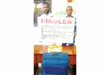 NDLEA intercepts Europe-bound drug barons