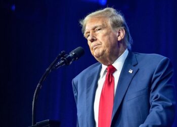 New bridges in Europe: Relationship between East-Central Europe and Trump