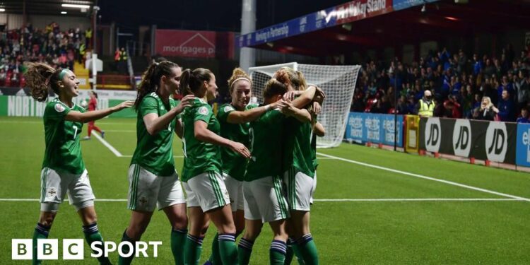 Northern Ireland celebrate goal at Windsor Park