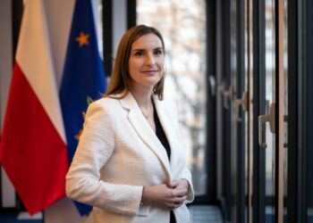 Poland urges EU to spend more on eastern defences ahead of Trump return