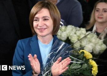 Pro-EU leader Maia Sandu claims victory despite alleged Russian meddling Pro-EU leader Maia Sandu claims victory despite alleged Russian meddling