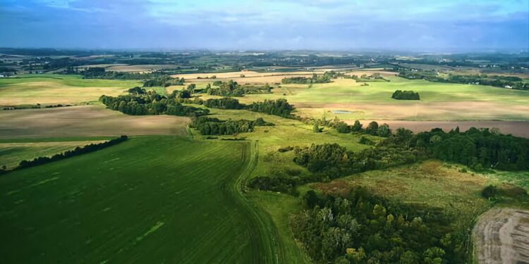 Denmark Leads the Way: Returning 15% of Land to Nature to Tackle Climate Change