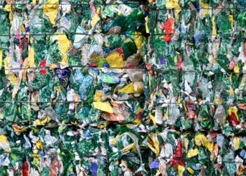 Tallinn’s startups tackle post-pandemic packaging waste – POLITICO