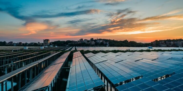 The future of renewable energy investment in Europe – Europe’s obligation to pay renewable energy awards – Euractiv