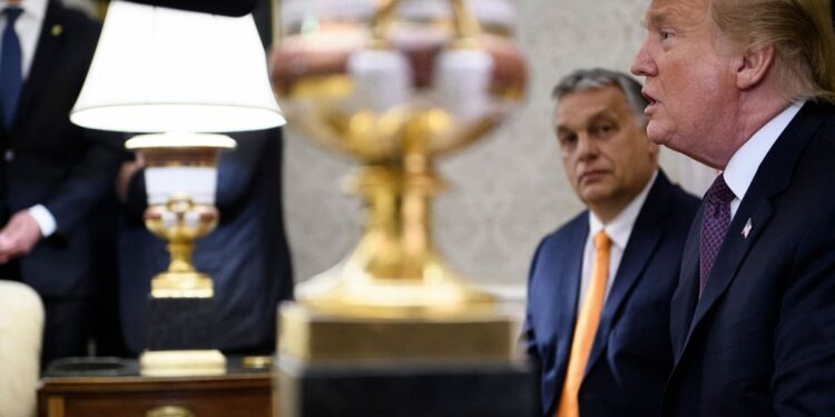 The real winners of the US election: Europe’s populist right-wing wreckers