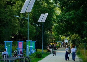 The uncertain road to carrying out Poland’s ambitious energy strategy | articles