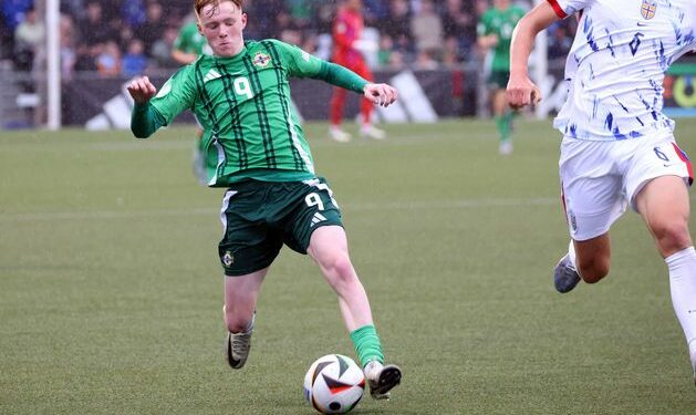 Under-19 Euros: Northern Ireland punished by ruthless Denmark