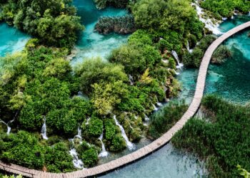 What Does TripAdvisor Say About Croatian Prices?