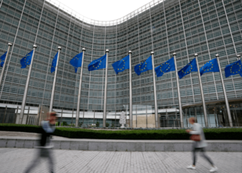 Why Trump might challenge Europe’s deforestation regulation